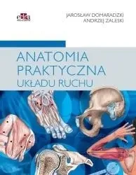 Anatomia praktyczna układu ruchu - A. Zaleski, J. Domaradzki