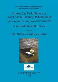 Bronze Age Field System at Tower's Fen, Thorney, Peterborough - Andrew Mudd