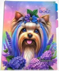 Teczka A4+ plastik 3 przegródki koszulka L Piesek - Fresh