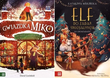 Elf do zadań specjalnych + Gwiazdka Miko - David Litchfield