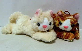 Kot glos 29cm MIX - Sun-Day