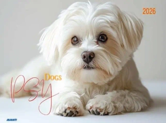 Kalendarz 2026 ścienny albumowy 28,5x20cm Psy - AVANTI
