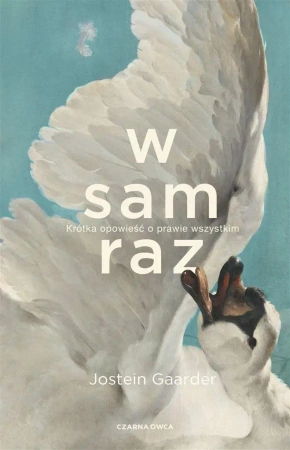 W sam raz. Krótka opowieść o prawie wszystkim - Jostein Gaarder