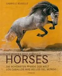 Most Beautiful Horses