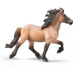 Icelandic Stallion Bay Dun - Collecta