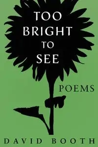 Too Bright to See - David Booth