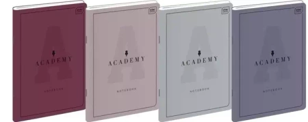 Zeszyt B5/60K kratka Academy (10szt) - INTERDRUK