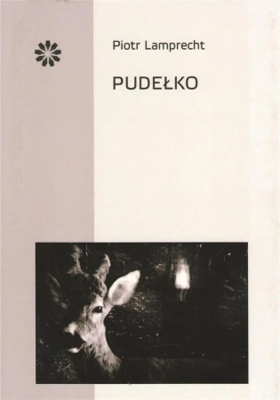 Pudełko - Piotr Lamprecht