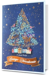 Karnet Boże Narodzenie HM200-3233 - Pan Dragon