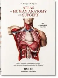 Atlas of Human Anatomy and Surgery - Henri Sick