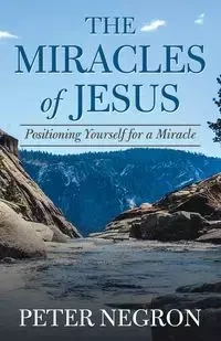 The Miracles of Jesus - Peter Negron