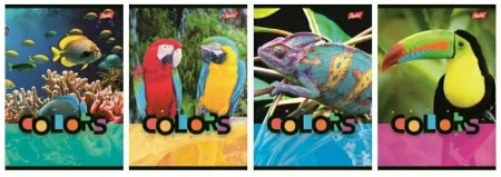 Zeszyt A5/32K linia 2 kolor Exotic Colors (15szt) - UNIPAP