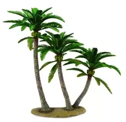 Drzewo palmowe - Collecta
