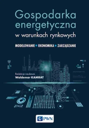 Gospodarka energetyczna w warunkach rynkowych - opracowanie zbiorowe