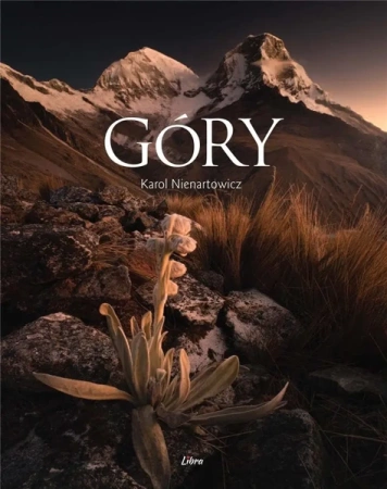 Góry - okładka Andy - Karol Nienartowicz