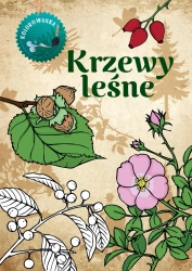 Krzewy leśne kolorowanka - Katarzyna Kopiec Sekieta