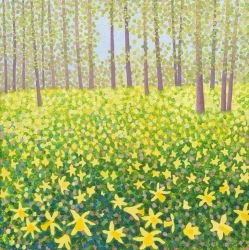 Karnet z kopertą Żonkile - Susan Entwistle