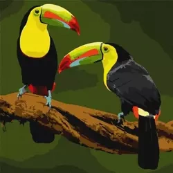 Malowanie po numerach - Ptaki egzotyczne 40x40cm - Ideyka