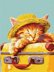 Malowanie po numerach - Śpiący kotek 30x40cm - Ideyka