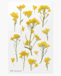 Naklejki ozdobne kwiaty - Rzepak - Appree