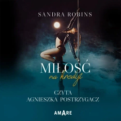 audiobook Miłość na kredyt - Sandra Robins
