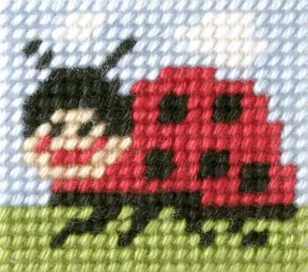 Haft. Moje pierwsze wyszywanie - Biedronka - Anex-bis