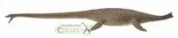 Dinozaur Thalassomedon - Collecta