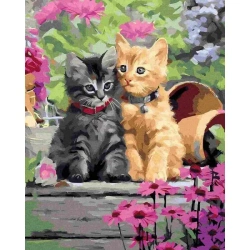 Malowanie po numerach - Kotki w uścisku 40x50cm - Twoje Hobby