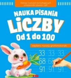 Nauka pisania. Liczby od 1 do 100 - praca zbiorowa