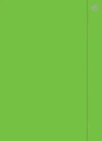 Teczka z gumką A4+ Fluo zielona (10szt) - INTERDRUK