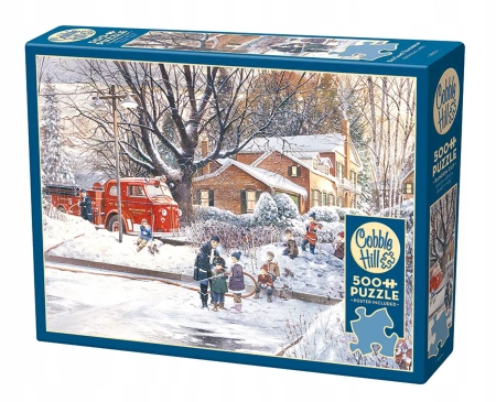 Cobble Hill Puzzle 500 el. Przygotowania do meczu