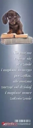 Zakładka do książek. Nie można cofnąć się w czasie...