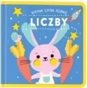 Dotykam czytam poznaję. Liczby - praca zbiorowa