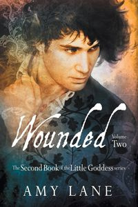 Wounded, Vol. 2 - Lane Amy