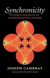 Synchronicity - Joseph Cambray