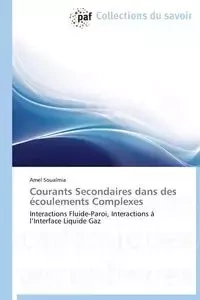Courants secondaires dans des écoulements  complexes - SOUALMIA-A