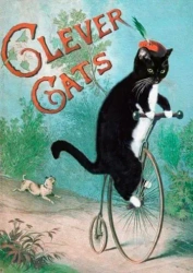 Karnet B6 z kopertą Mądre koty - Madame Treacle