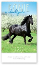 Kalendarz 2026 reklamowy Konie w obiektywie - Lucrum