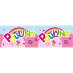 Bidon 300ml Paulina - John Hinde