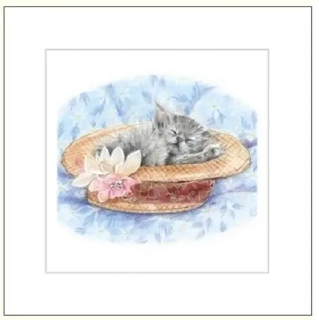 Karnet 16x16cm + koperta Kot rysowany - DaVinci