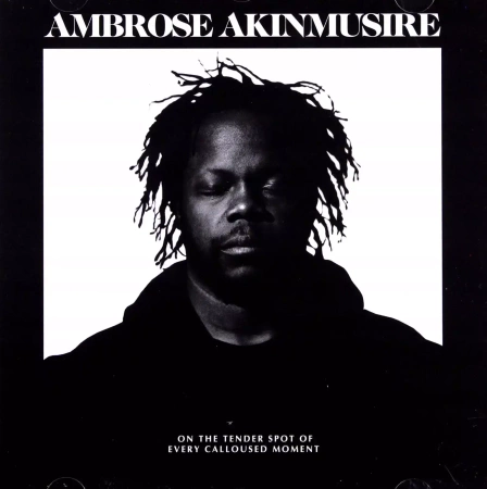 On The Tender Spot Of Every Calloused Moment, CD