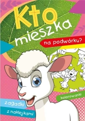 Kto mieszka na podwórku? - Ewa Stadtmuller, Wiesław Drabik
