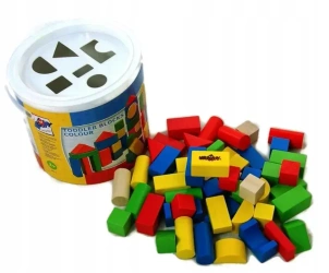 WOODYLAND Kolor.klocki drewn.50szt 90911 09117