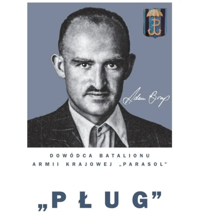 "Pług" - Adam Borys, Dowódca Batalionu AK... - Hubert Borys, Mariusz Olczak