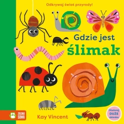 Gdzie jest ślimak - Kay Vincent