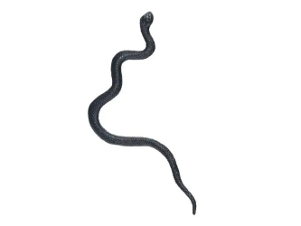 Wąż plastikowy 18cm czarny 12szt - MFP