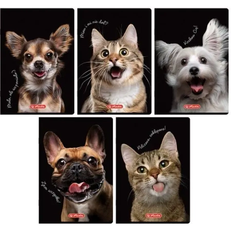 Zeszyt A5/60K linia z marginesem Animals (10szt) - HERLITZ