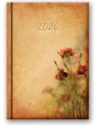 Kalendarz 2026 B6 dzienny Soft Goździki - Lucrum