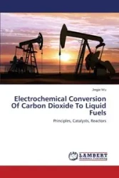 Electrochemical Conversion of Carbon Dioxide to Liquid Fuels - Wu Jingjie