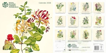 Kalendarz 2026 ścienny Royal Botanic Garden - Flame Tree